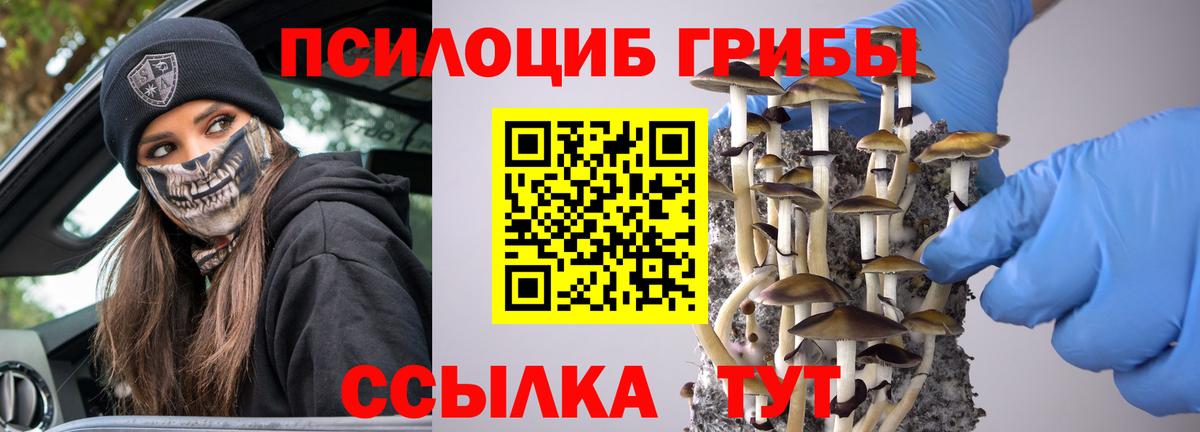 Галлюциногенные грибы Psilocybine cubensis  купить наркотик  Кисловодск  Вход с VPN 